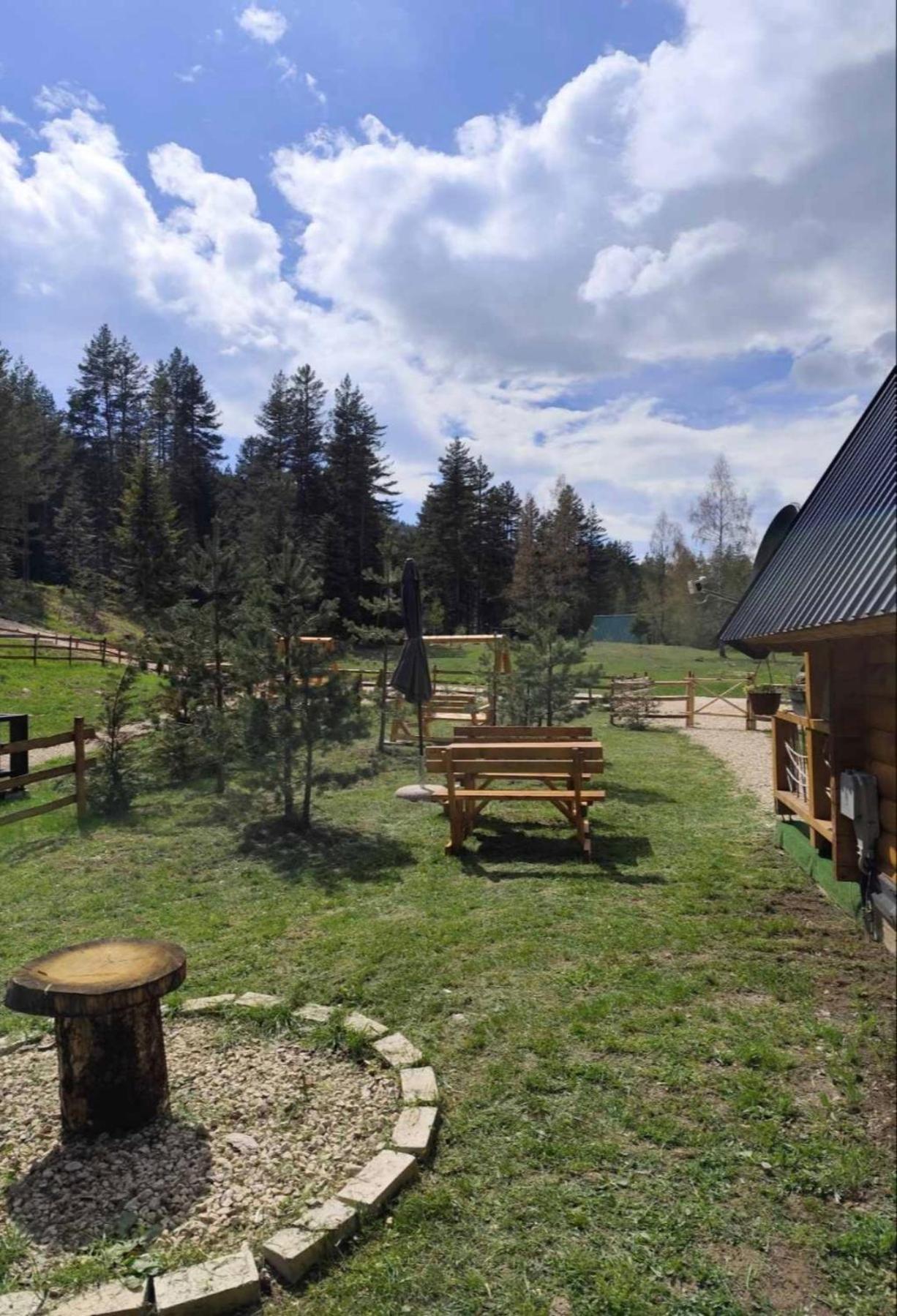 Pine Forest-White Zabljak  Exterior photo